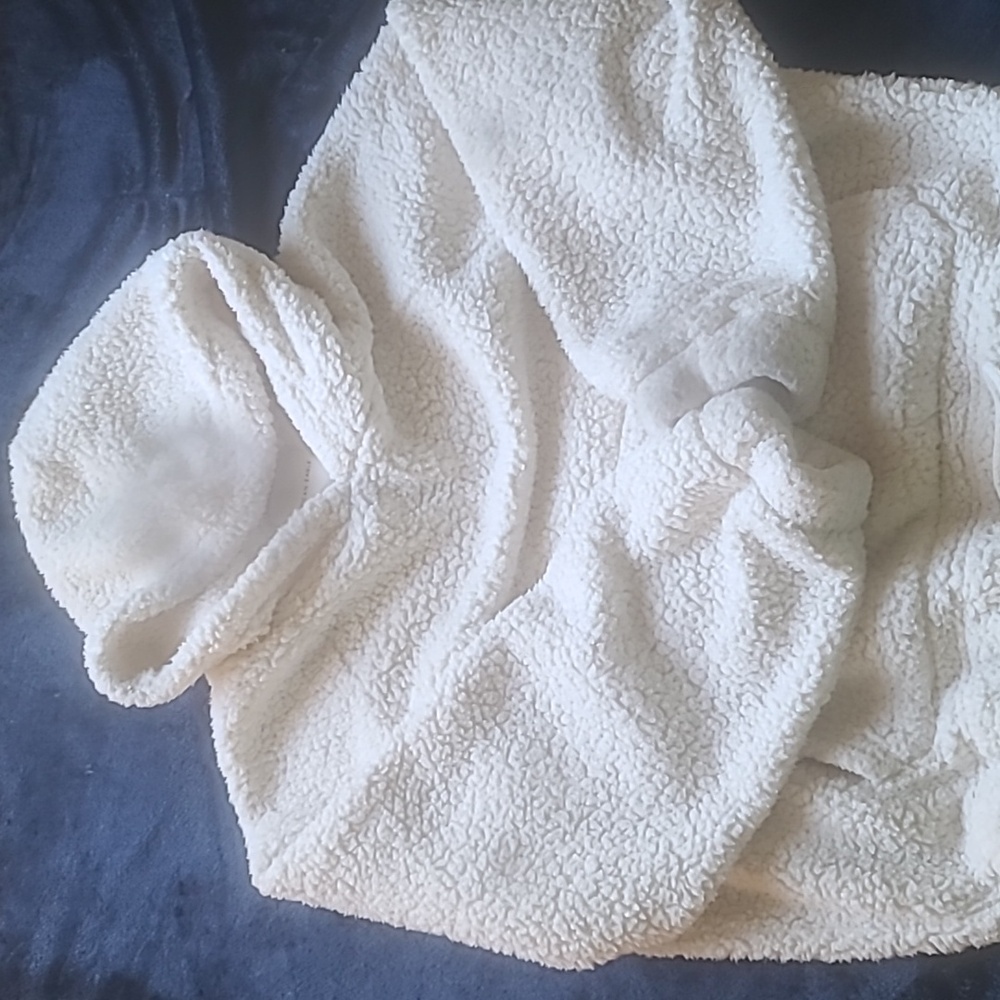 American Eagle sherpa hoodie